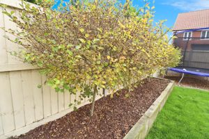 RUBENS CLOSE- click for photo gallery